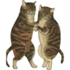 🐈