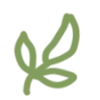 🌱