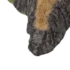 🌳