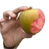 ✋
