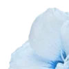💎