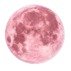 🌚