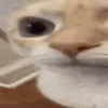 🤨