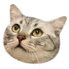 🙂