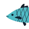 🐟