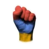 ✊