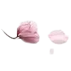 🌸