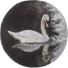 🦢