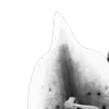 ⭐