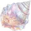 🐚