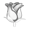🌹