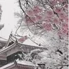 🌸