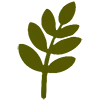 🌿