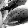⭐