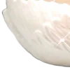 🪷