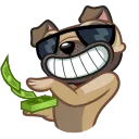 🐶