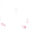 🪷