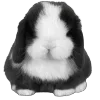 🐰