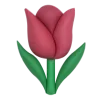 🌷