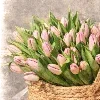 🌸