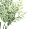 🪷