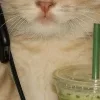 🙃