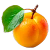 🍑
