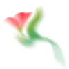 🌷