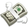 💸