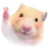 ✌️