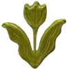 🌱