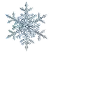 ❄️