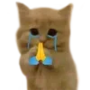 🙏