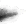 ⭐