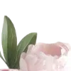 🌸