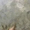 🖼️