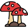 🍄