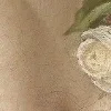 🖼️