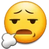 😮‍💨
