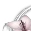 🌸