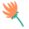 🌼