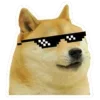 😎