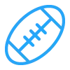 🏈