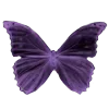 🦋