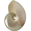 🏺