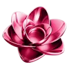 🌺