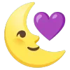 🌜