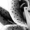 ⭐