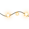 🪷