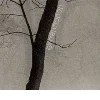 🌫️